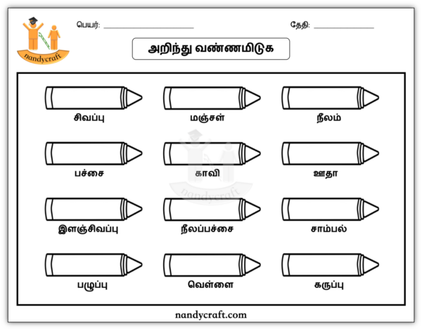 அறிந்து வண்ணமிடுதல் | NandyCraft
